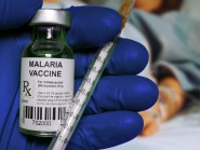 New Cost effectiveness Analysis Comparing Malaria Vaccines With 